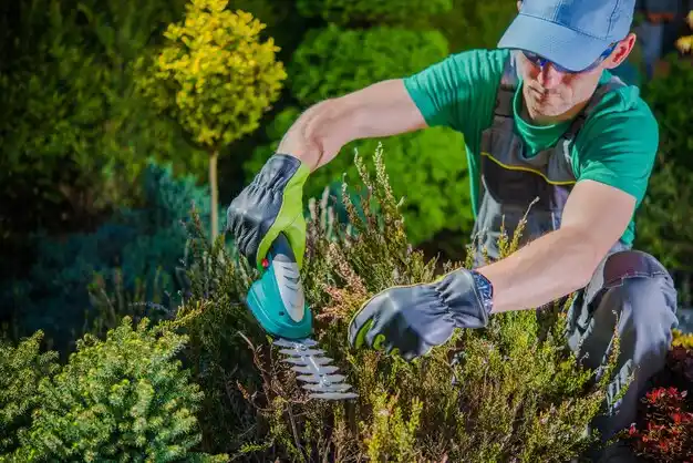 landscaping services Sharonville